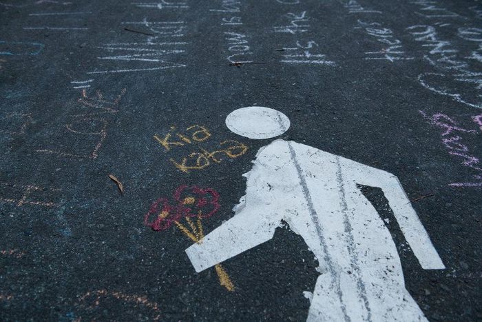 The white-extinction conspiracy theory is bonkers