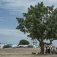 Some Nigerians have taken shelter in camps for internally displaced people, while others have fled across the border to northern Cameroon