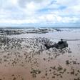 Satellite images reportedly show the creation of an inland sea in Mozambique that is 125 kilometres long and 25 km wide (78 x 16 miles)