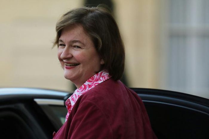 French Europe Minister Nathalie Loiseau said she had made up "Brexit" the cat as a joke