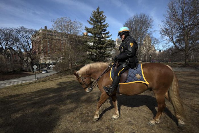 Central Park Detective Retires With the Horse He Rode in On