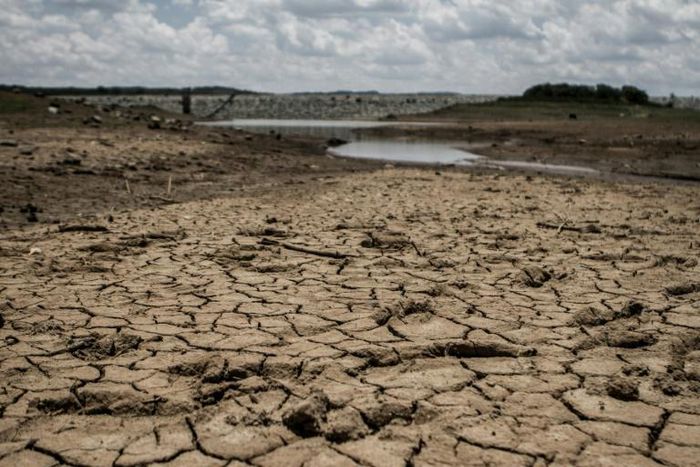 The drought affecting Zimbabwe has parched the catchment area of the Umzingwani dam in the Matabeleland region