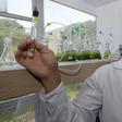 Peruvian biologist Enoc Jara is leading a team of scientists fortifying algae in order to combat water pollution