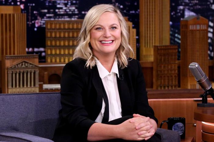 Amy Poehler Discusses 'Parks and Rec' Revival