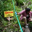 Indigenous villagers from Ecuador want a Canadian subsidiary of US energy giant Chevron to pay for pollution of native lands in the Amazon between 1964 and 1992