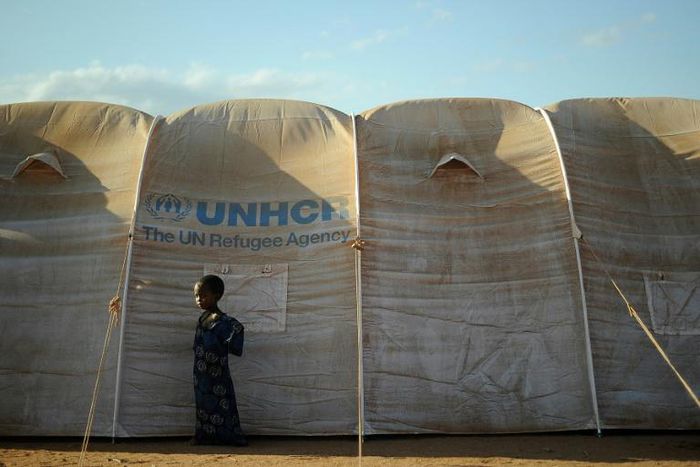 The Dadaab refugee camp is home to about 230,000 people