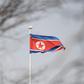 A shadowy group called Cheollima Civil Defense has claimed responsibility for the raid last month on North Korea's embassy in Madrid