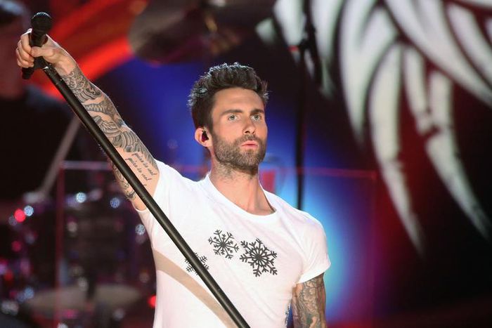 What We Know About Adam Levine's New Reality Show