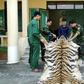 A tiger skin can fetch up to $6,000 in Vietnam and as much as $10,000 in China, according to Vietnamese state media