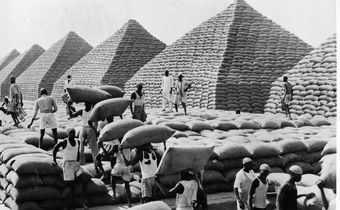 the-groundnut-pyramids