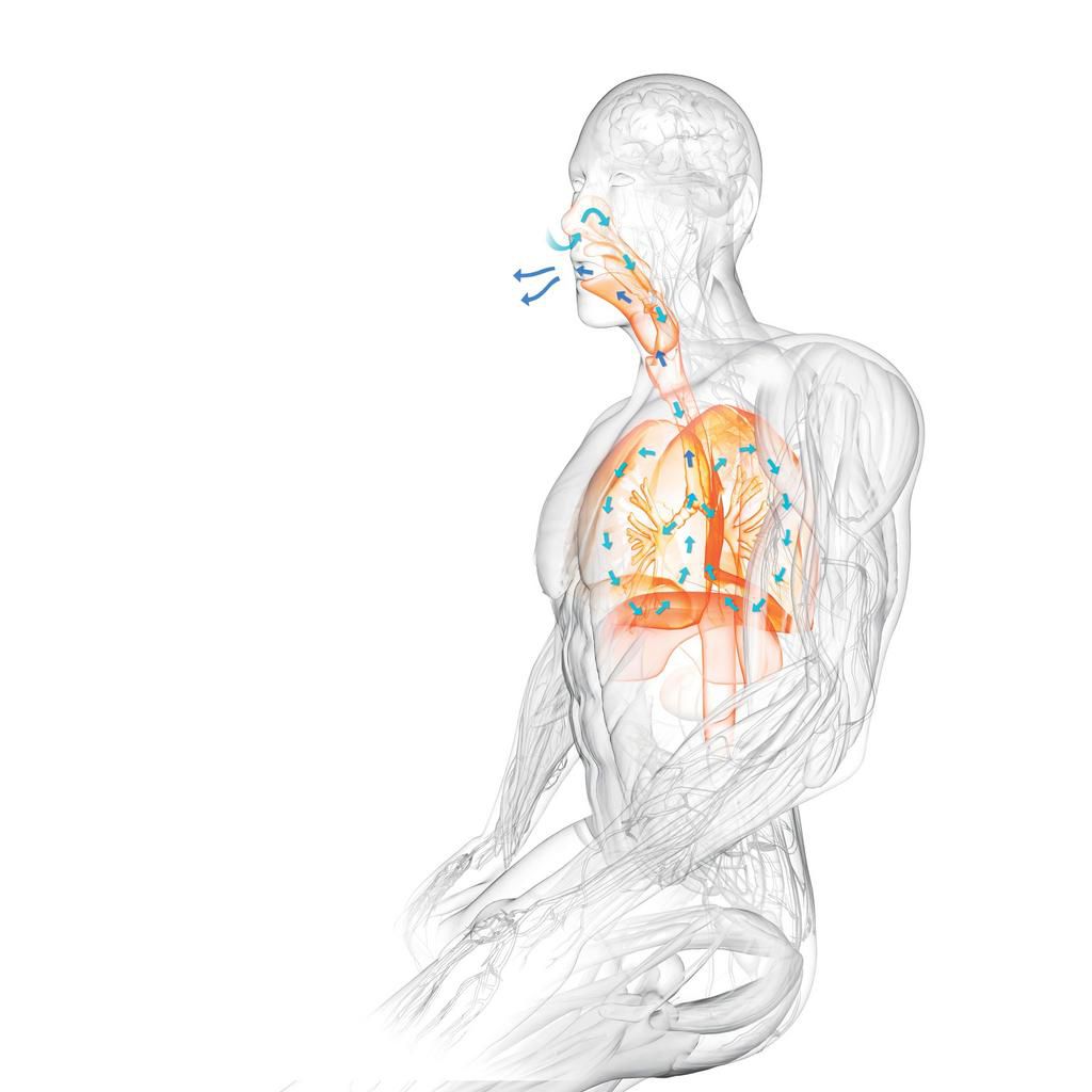 How to Use Your Breath to Get Stronger