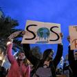 Young activists have held protests worldwide to demand action on climate change