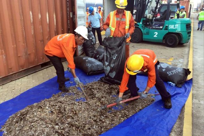 Vietnam confirmed the haul and also announced a separate seizure of 8.3 tonnes of pangolin scales from 'an African country' in the northern Haiphong port