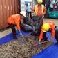 Vietnam confirmed the haul and also announced a separate seizure of 8.3 tonnes of pangolin scales from 'an African country' in the northern Haiphong port