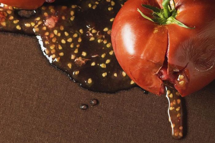 Dr. Pimple Popper Drains A Huge Chin Abscess