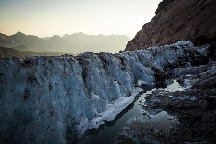 'When the Glaciers Disappear, Those Species Will Go Extinct'