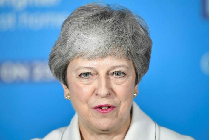 British Prime Minister Theresa May's approach to the Brexit endgame has sparked criticism on all sides