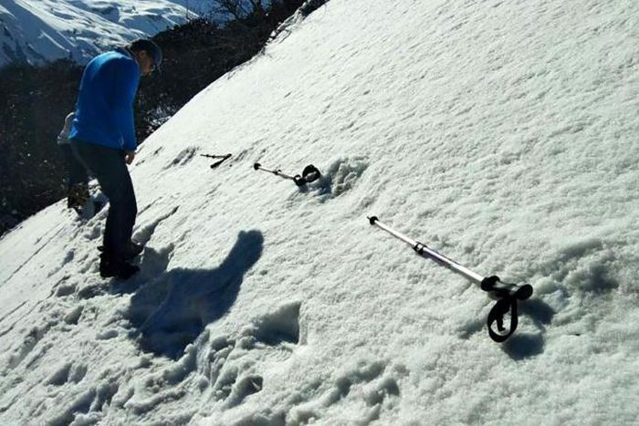 Shaggy tale: Nepal's army says the footprints are likely those of a bear