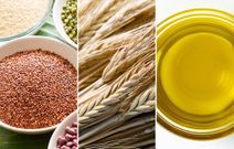 foods help penis better