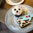 The additive, used mainly as a whitening and brightening agent in candies, chewing gum, white sauces and cake icing, will be banned in France starting in 2020