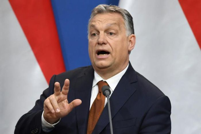 Orban said Weber had insulted Hungary by saying he didn't need Hungarian votes or support