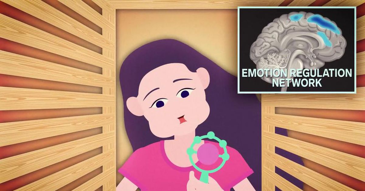 How Giving Birth Changes Your Brain Pulse Nigeria