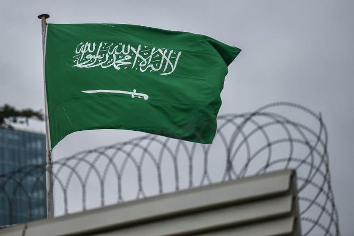 Saudi Arabia has come under fresh criticism in the United States over its mass execution of Shiite Muslims