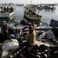 Several thousand Gazans depend on fishing for their livelihoods but often changing Israeli restrictions have led to prolonged layoffs that mean many live below the poverty line