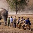 The Liwonde National Park anti-poaching project began in 2016, when hundreds of elephants were relocated