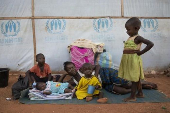 United Nations High Commissioner for Refugees (UNHCR)