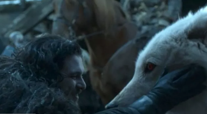 Jon Snow reunites with Ghost [Winter is coming]