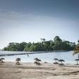 The town was carved out of an ancient forest in 2011 at a cost of 600 million euros ($670 million)