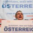 'Protect what we love': Heinz Christian Strache, FPOe chairman and Austrian vice-chancellor insists the term 'population replacement' describes 'a reality that cannot be denied'
