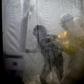 Health workers help a woman into bed at an Ebola Treatment Centre in Butembo, Democratic Republic of Congo
