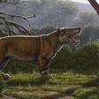 A Simbakubwa kutokaafrika, a gigantic mammalian carnivore that lived 22 million years ago in Africa and was larger than a polar bear