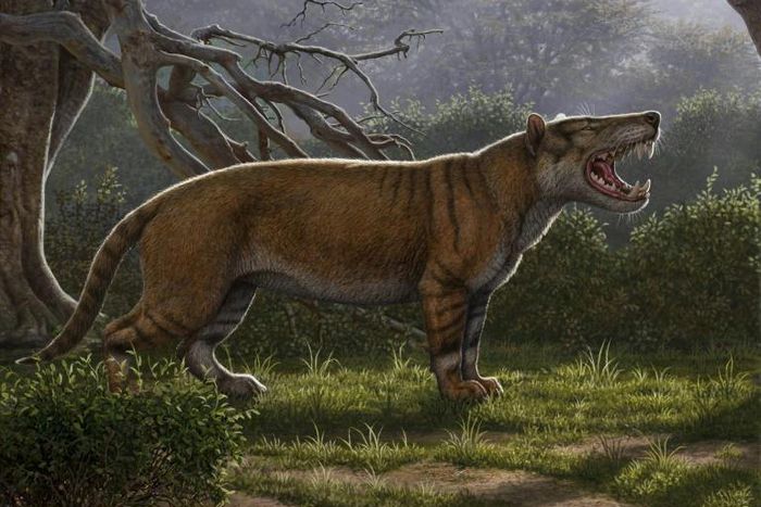 A Simbakubwa kutokaafrika, a gigantic mammalian carnivore that lived 22 million years ago in Africa and was larger than a polar bear