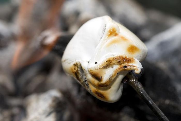 Dr. Pimple Popper Pops Huge Cyst On Woman's Back