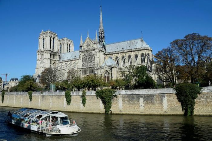 The rooster statue used to sit atop the spire that rose from Notre-Dame Cathedral