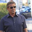 Sly Stallone Offers Conor McGregor UFC Shares