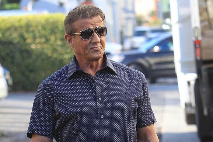 Sly Stallone Offers Conor McGregor UFC Shares