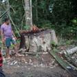 Arara indigenous chief Tatji Arara (L), 41, patrols his ancestral lands in northern Brazil, where illegal logging is a major problem