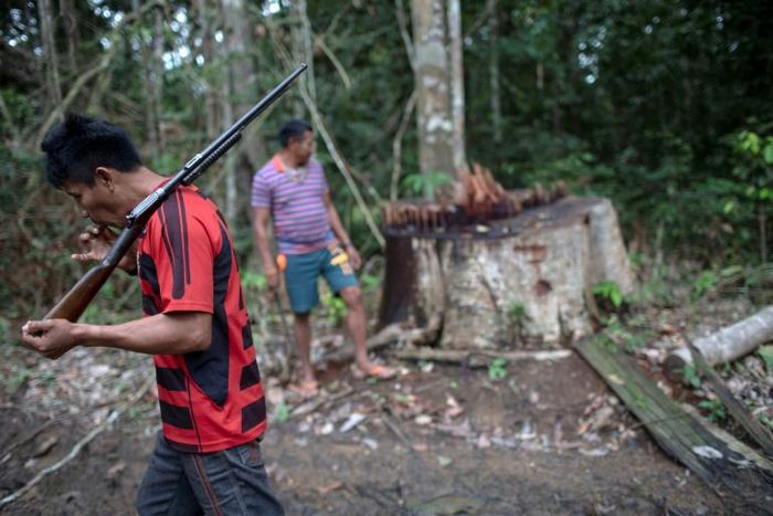 Arara indigenous chief Tatji Arara (L), 41, patrols his ancestral lands in northern Brazil, where illegal logging is a major problem