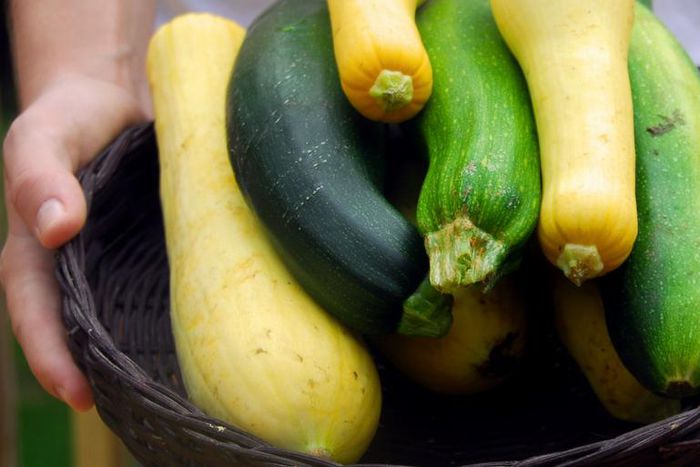 There’s Only One Right Way to Cook Summer Squash