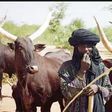 Fulani herdsman