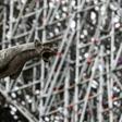 The company involved in renovating Notre-Dame before last week's fire had imposed a strict ban on smoking while up the scaffolding, which some workers ignored