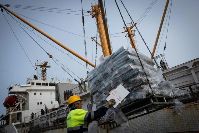 Fishermen have been racing against the clock to beat any future tariffs after Brexit