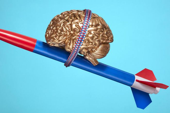 Which Form of Therapy Is Best for You?