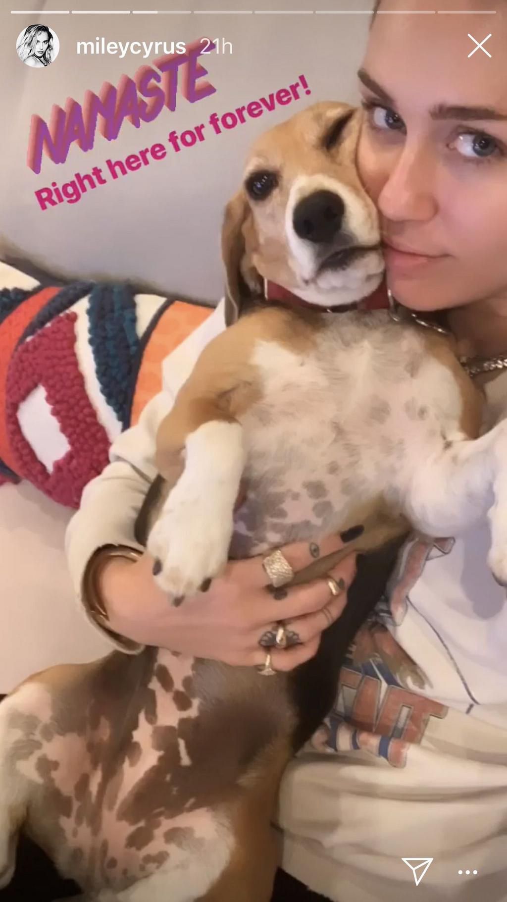 Miley Cyrus Posted A Glowy, No-Makeup Selfie On Instagram