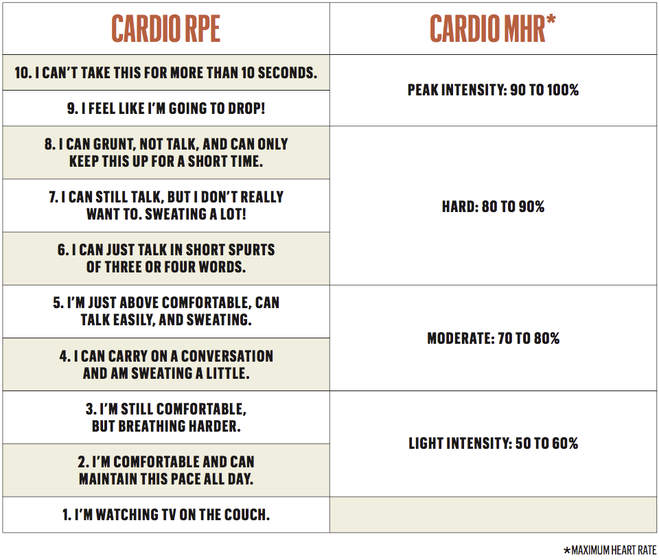 Why 30 Minute Workouts Flat Out Work