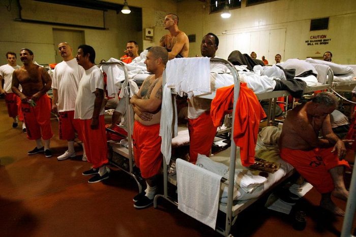 Imprisoned for helping the widow next door